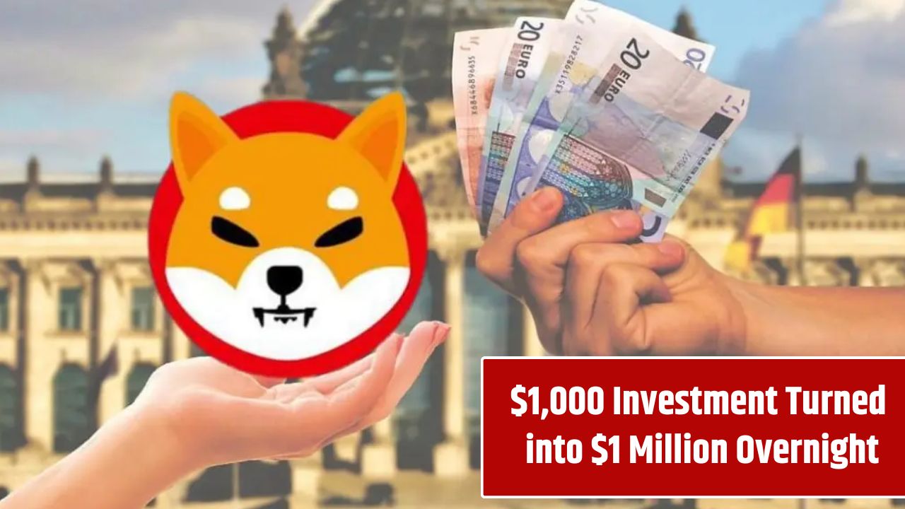 $1,000 Investment Turned into $1 Million Overnight